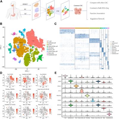 Pan-Cancer Single-Cell Analysis Reveals the Core Factors and Pathway in Specific Cancer Stem Cells of Upper Gastrointestinal Cancer